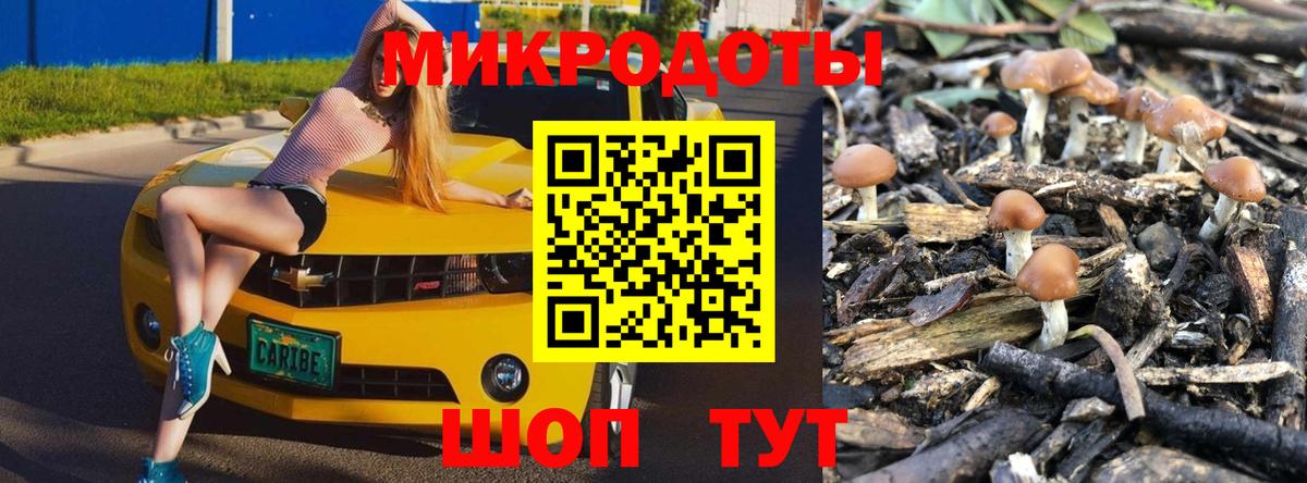Галлюциногенные грибы прущие грибы Мариинск