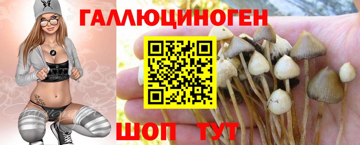 Псилоцибиновые грибы GOLDEN TEACHER  Галлюциногенные грибы GOLDEN TEACHER  Мариинск  Вход с VPN 